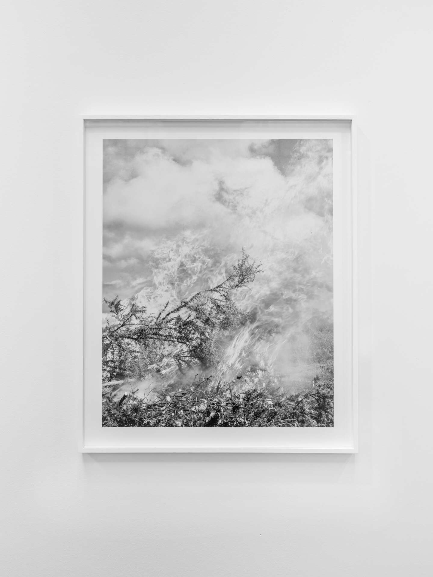 AZ Art Salon Zurich dokumentacija7